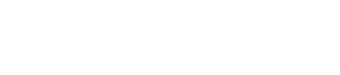 Saasible